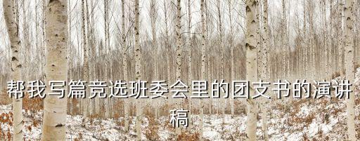 幫我寫篇競選班委會里的團支書的演講稿