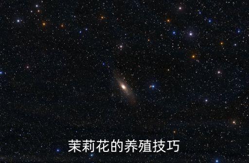 茉莉花的養殖技巧