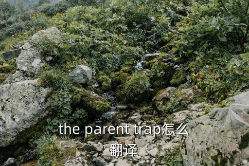 陷阱英文，the parent trap怎么翻譯
