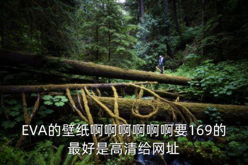 eva壁紙，幫我找下EVA的壁紙大圖