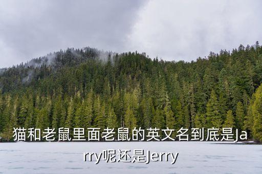 貓和老鼠英文名，貓和老鼠里面老鼠的英文名到底是Jarry呢還是Jerry