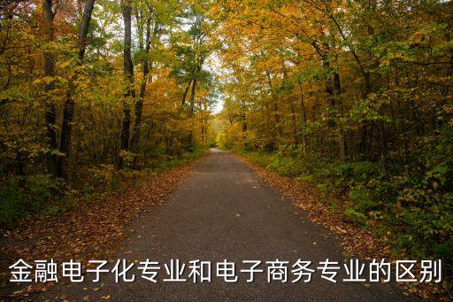 金融電子化，金融電子化這個方向怎樣