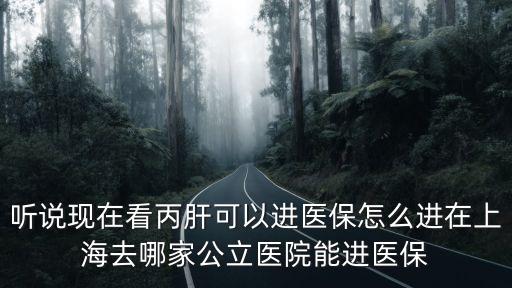 上海市中醫院炮山甲進醫保嗎，藥物是否進醫保如何查詢 謝謝