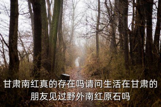 南紅原石，甘肅南紅真的存在嗎請問生活在甘肅的朋友見過野外南紅原石嗎
