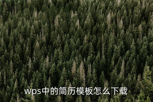 wps中的簡歷模板怎么下載