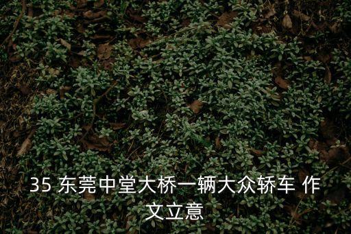 35 東莞中堂大橋一輛大眾轎車 作文立意