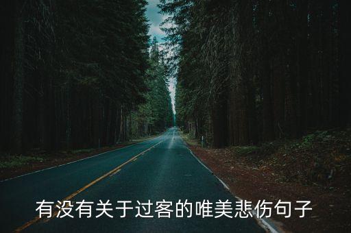 有沒有關于過客的唯美悲傷句子