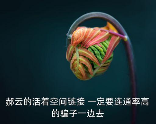 郝云活著，郝云的活著空間鏈接 一定要連通率高的騙子一邊去
