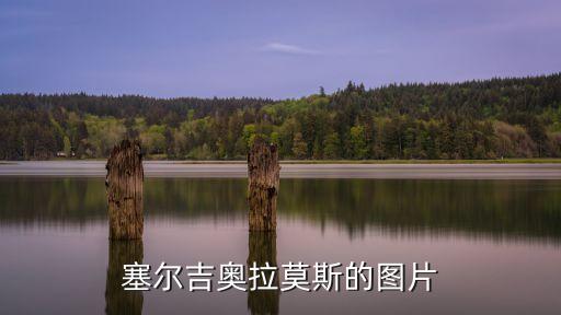塞爾吉奧拉莫斯的圖片