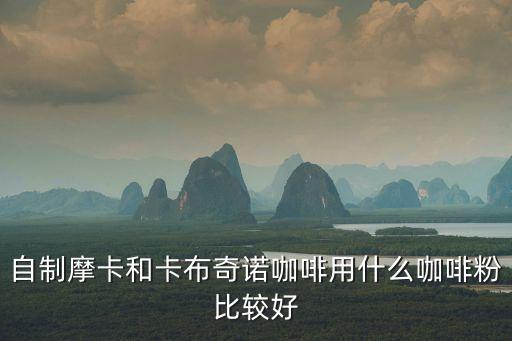 自制摩卡和卡布奇諾咖啡用什么咖啡粉比較好