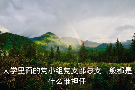 大學里面的黨小組黨支部總支一般都是什么誰擔任