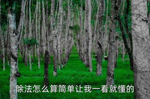 除法怎么算簡單讓我一看就懂的