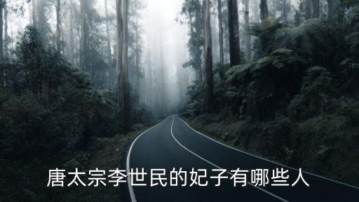 李世民的妃子，唐太宗李世民的妃子有哪些人