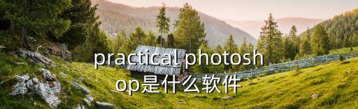 practial，practical與practice有什么區別啊