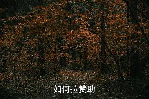 拉贊助，如何拉贊助