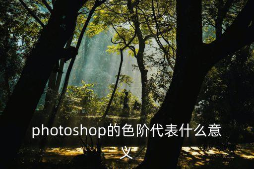 photoshop的色階代表什么意義