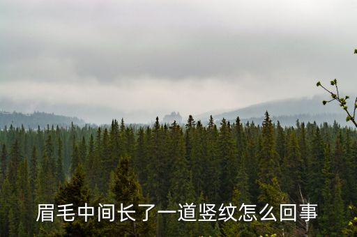 眉毛中間長了一道豎紋怎么回事