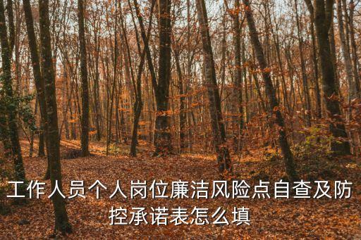 工作人員個人崗位廉潔風險點自查及防控承諾表怎么填