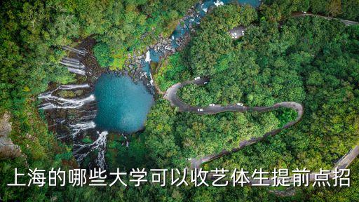 上海的哪些大學可以收藝體生提前點招
