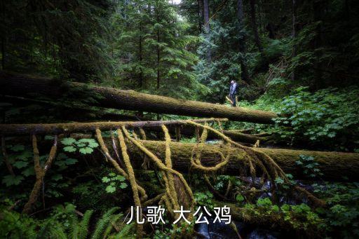 大公雞兒歌，兒歌大公雞穿花衣花衣臟了自己洗歌名叫什么