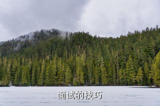 面試技巧培訓，面試培訓的問題