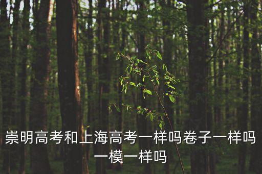 2020上海市崇明區(qū)語文初中一模，上海初三一模考試語文怎么復(fù)習(xí)精銳有用嗎