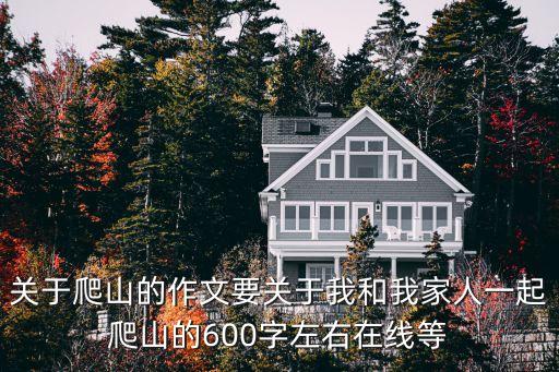 爬泰山作文，登山的作文400字