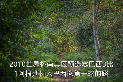 2010世界杯南美區預選賽巴西3比1阿根廷打入巴西隊第一球的路