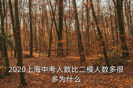 2020上海中考人數比二模人數多很多為什么