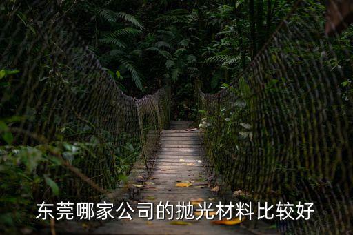 東莞哪家公司的拋光材料比較好