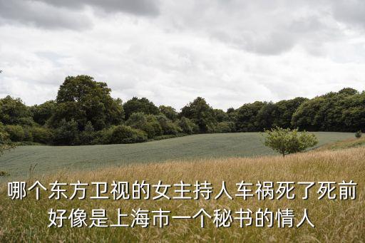 哪個東方衛視的女主持人車禍死了死前好像是上海市一個秘書的情人