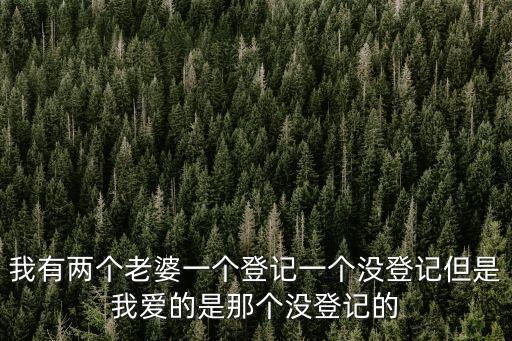 我的兩個老婆，我有兩個老婆一個登記一個沒登記但是我愛的是那個沒登記的