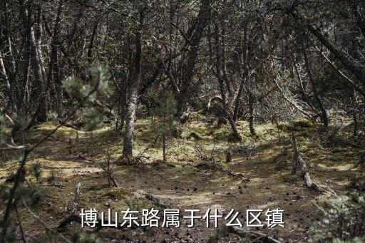 上海市浦東新區(qū)博山路屬于什么街道，上海市浦東新區(qū)博山東路553弄45號(hào)屬于哪個(gè)街道