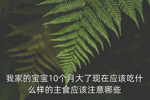 我家的寶寶10個月大了現(xiàn)在應該吃什么樣的主食應該注意哪些