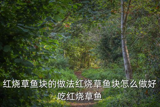 紅燒草魚塊的做法紅燒草魚塊怎么做好吃紅燒草魚