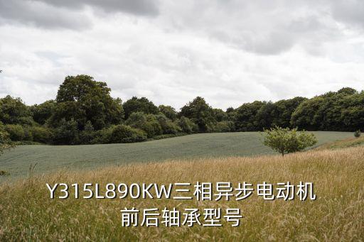 東莞東榮軸承，軸承型號6316c3屬于什么軸承