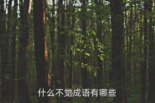 不覺，什么不覺的四字成語