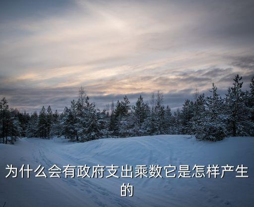 政府支出乘數，政府購買支出乘數的支出