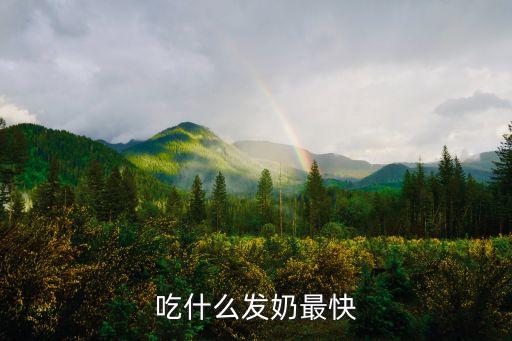 吃什么發奶最快