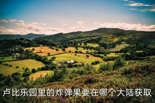 炸彈果，盧比樂園里的炸彈果要在哪個大陸獲取