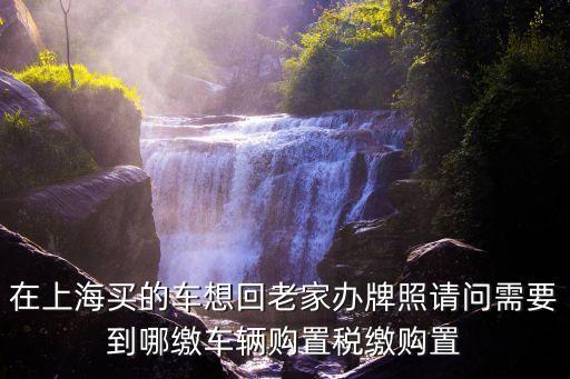 在上海買的車想回老家辦牌照請(qǐng)問需要到哪繳車輛購置稅繳購置