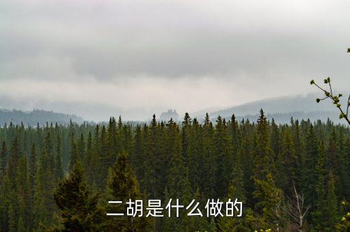 二胡制作，二胡是什么做的