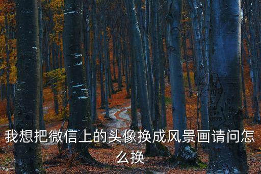 我想把微信上的頭像換成風(fēng)景畫請問怎么換