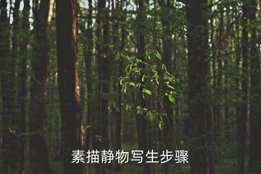 素描靜物寫生步驟