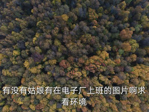 有沒有姑娘有在電子廠上班的圖片啊求看環境
