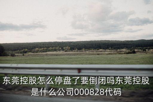 東莞控股怎么停盤了要倒閉嗎東莞控股是什么公司000828代碼