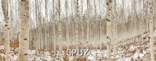 cpuz，cpuz 誰幫我看下啊