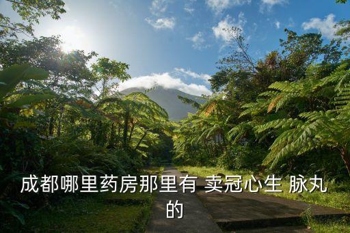 冠心生脈丸東莞有售，成都哪里藥房那里有 賣(mài)冠心生 脈丸的