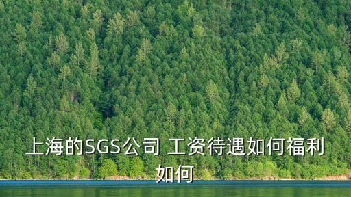 上海市數字證書認證中心待遇，上海的SGS公司 工資待遇如何福利如何