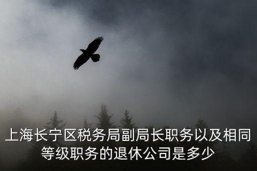 上海長寧區稅務局副局長職務以及相同等級職務的退休公司是多少